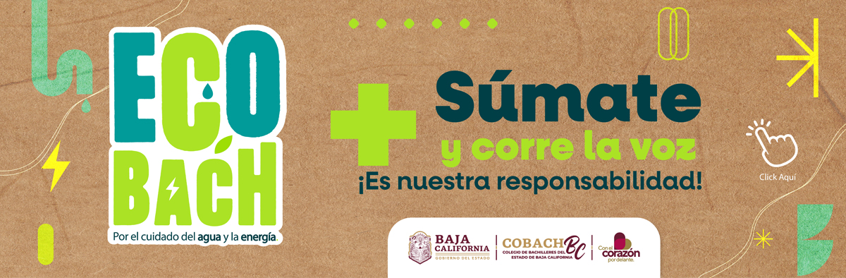 Convocatoria
