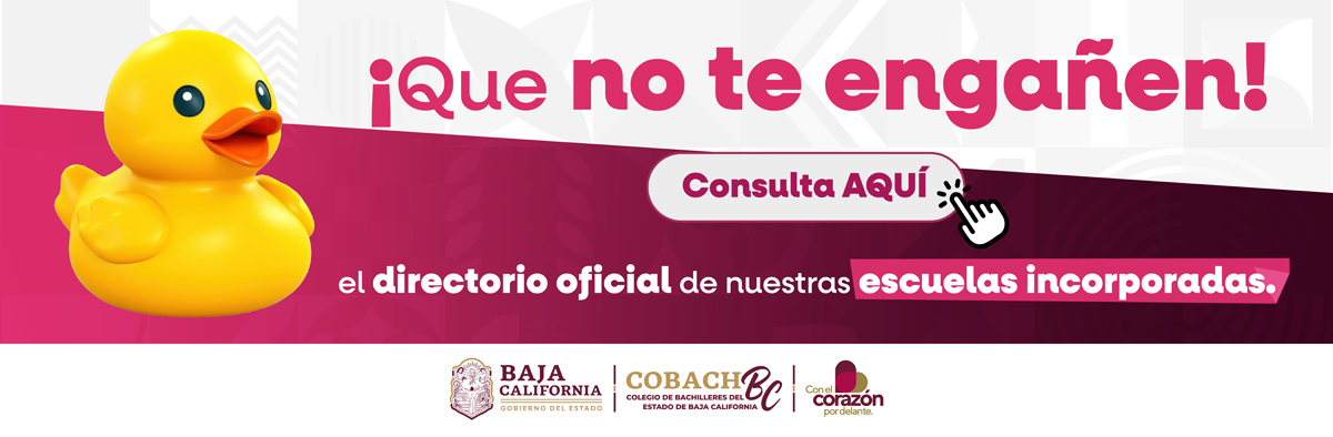 Convocatoria